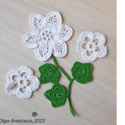 Bouquet branch and white flowers