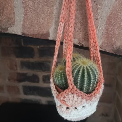 Hanging plant holder