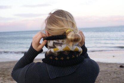 Bitterroot Cowl