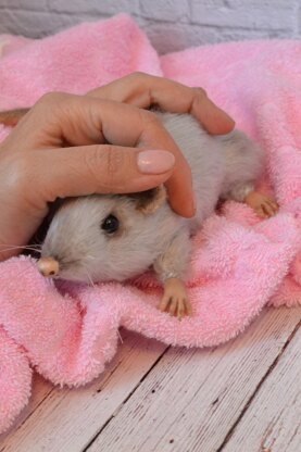 206 Cute Little Rat