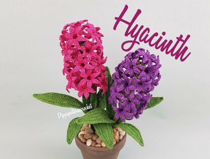 Hyacinth