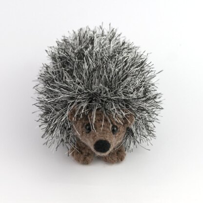 Curious hedgehog