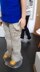 Shirt and cargo pants