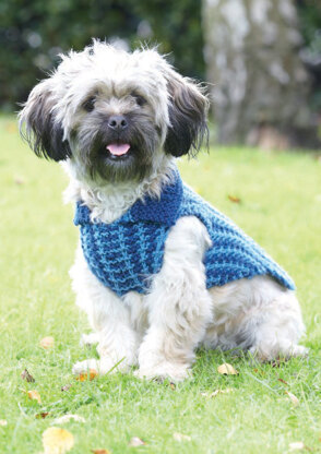 Dog Coats in Hayfield Aran With Wool and Snuggly Snowflake Chunky - 7261 - Downloadable PDF