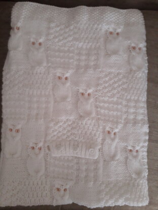 Owl Baby Blanket