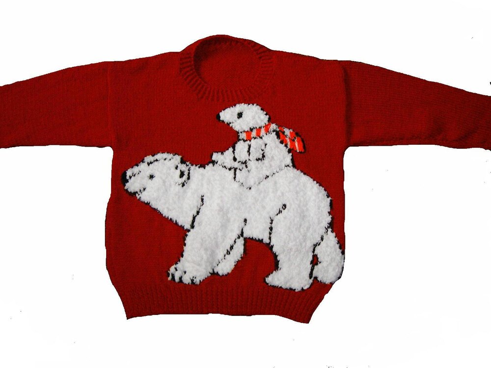 Polar 2024 bear jumper