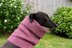 Faye Dog Snood