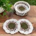 Magnolia Coasters And Holder Set