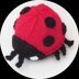 Ladybird Chocolate Orange Cosy