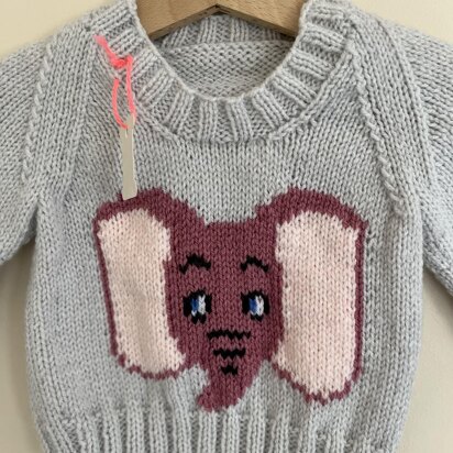 Baby elephant jumper