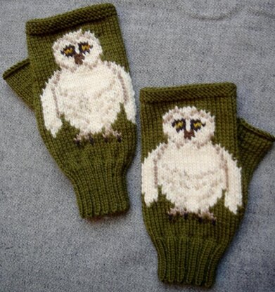 Barn Owl fingerless gloves/mitts