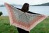 Hexagon Shawl