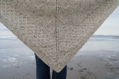 Snowy Plover Shawl