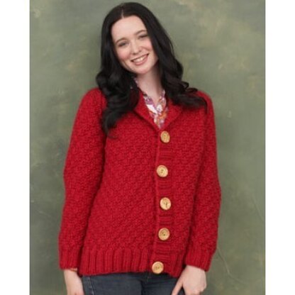 Shawl Collar Cardigan in Bernat Roving