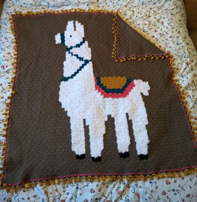 Alpaca c2c