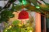 Enchanted Mushroom Tales