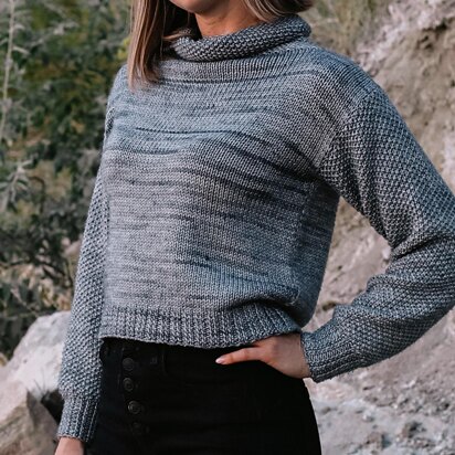 Silver Dollar Cropped Sweater