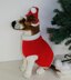 Dog Christmas Santa Hat and Coat