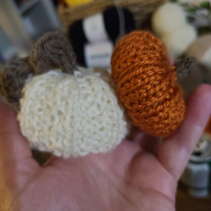 Mini Pumpkin (Basic)