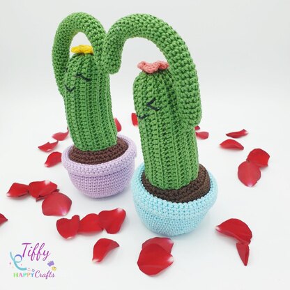 Cactus in Love