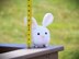 Mini Bunny Amigurumi
