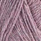 Tea Rose (12319B)