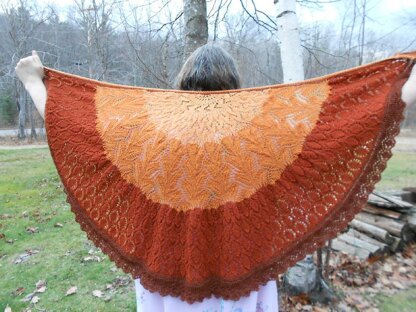 Pumpkin Pie (Pi) Shawl