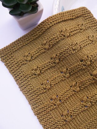 Adria dishcloth