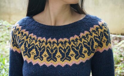 Butterfly Yoke Pullover