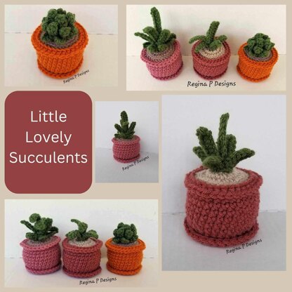 Little Lovely Succulents