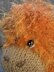 Highland Cow Choc' Orange Cosy