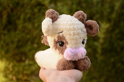 Muffin the small cow