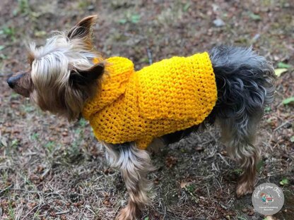 Small Dog Hoodie Sweater