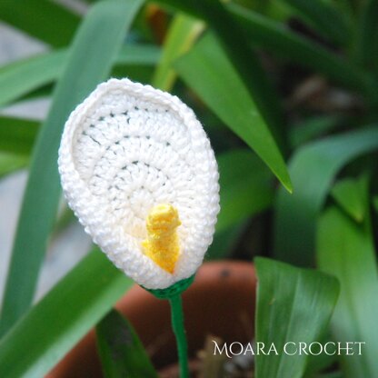 Crochet Calla Lily