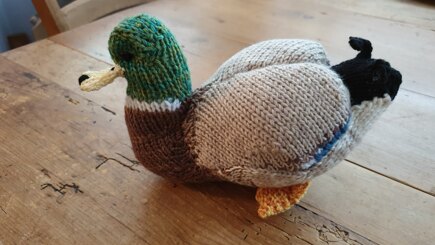 Sir Francis or Ducky to his mates! #2