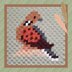 Bird Corner Set