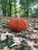 Cabled texture pumpkin pouf