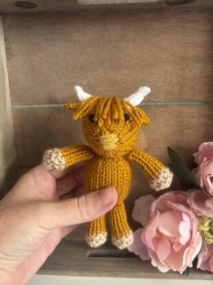 Mini Highland Cow