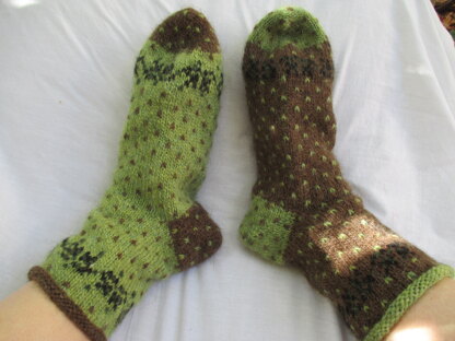 Kiwi Socks