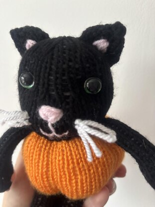 Pumpkin kitty