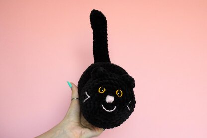 Black cat