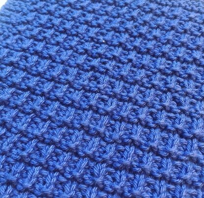 Hurdle Stitch Dishcloth