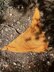 Autumn Leaves Wrap