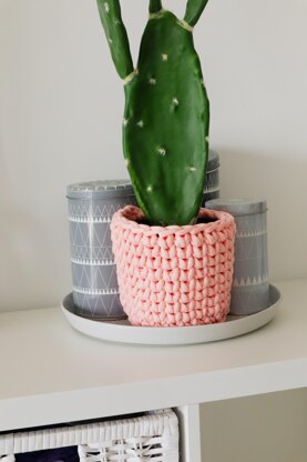 The Cactus Cozy