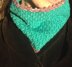 Wilderness Flowers Crochet Cowl