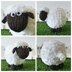 Baa Bara the Sheep