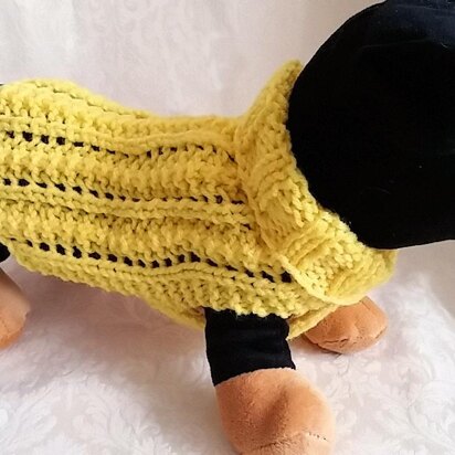 Easy Lace Dog Sweater