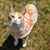 Daisy Cat Sweater