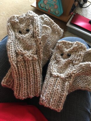 owl gloves