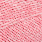 Strawberry (5653)